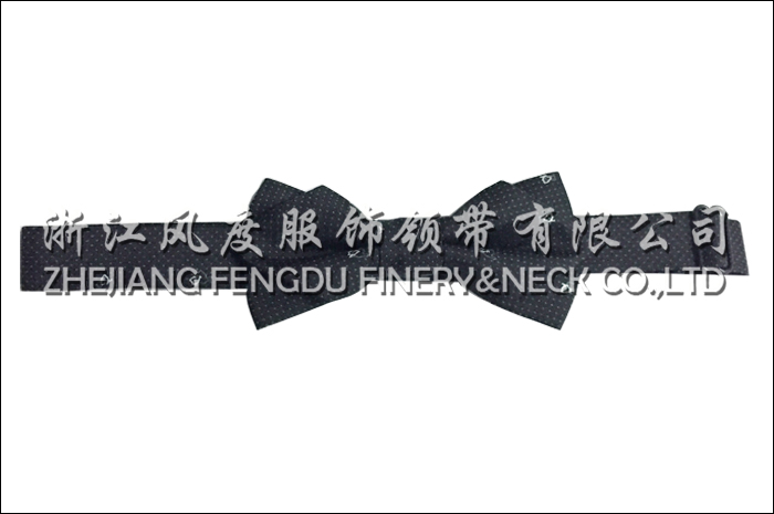 10471742_领结9.jpeg