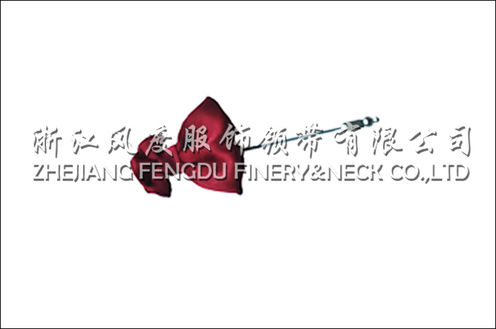 胸针