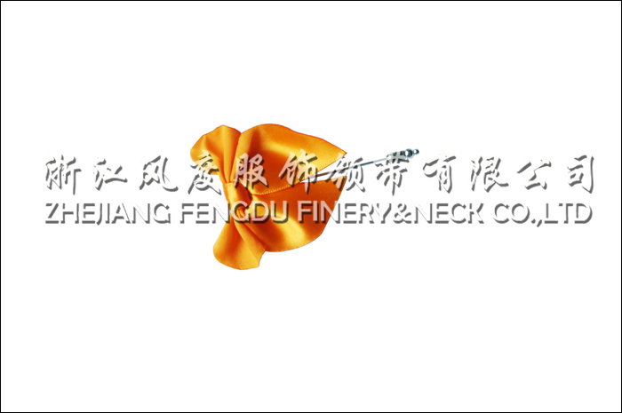 胸针